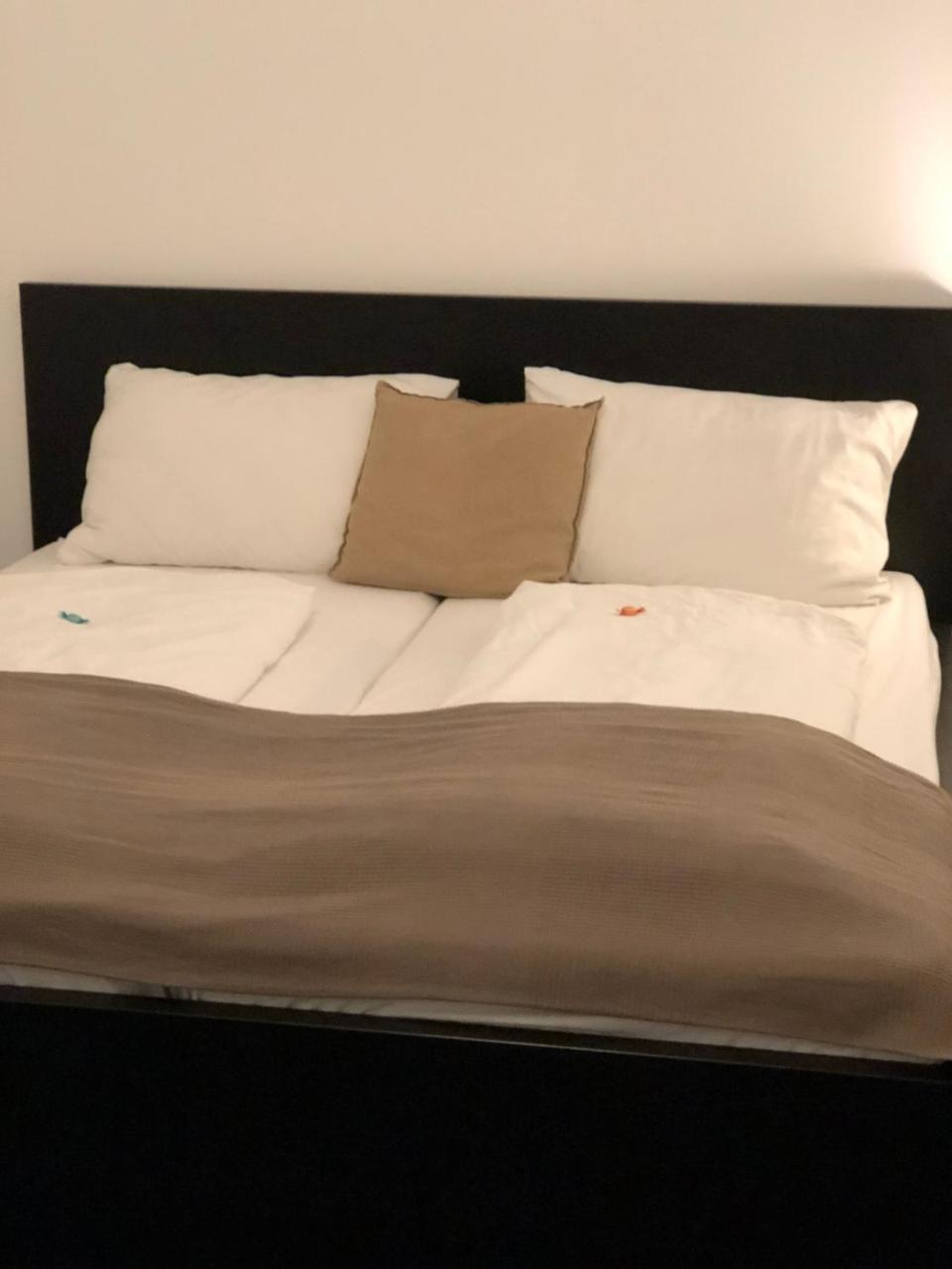 Boutique Hostel Zum Goldenen Kegel Wien Ngoại thất bức ảnh